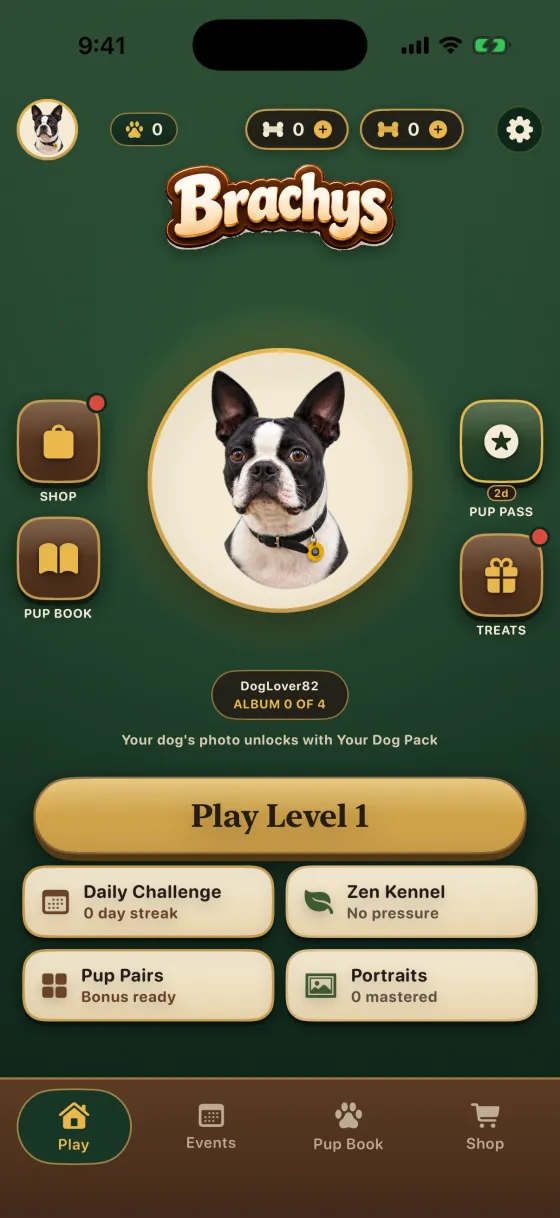 The Brachys home screen, with Play Level 1, the daily challenge, Zen Kennel, Pup Pairs and Portraits