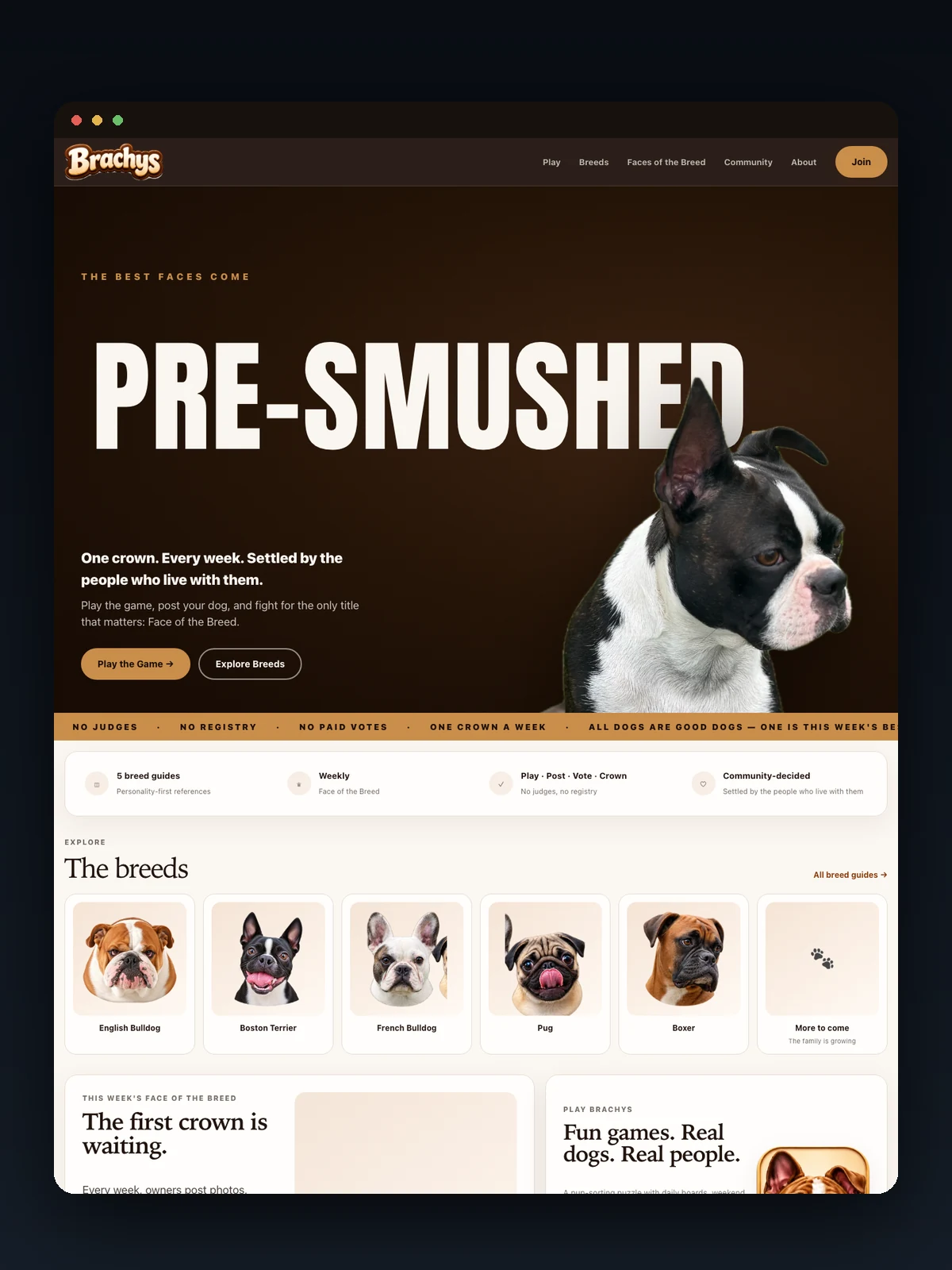 The brachys.com home page, reading The best faces come pre-smushed over a Boston Terrier