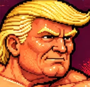 The Don