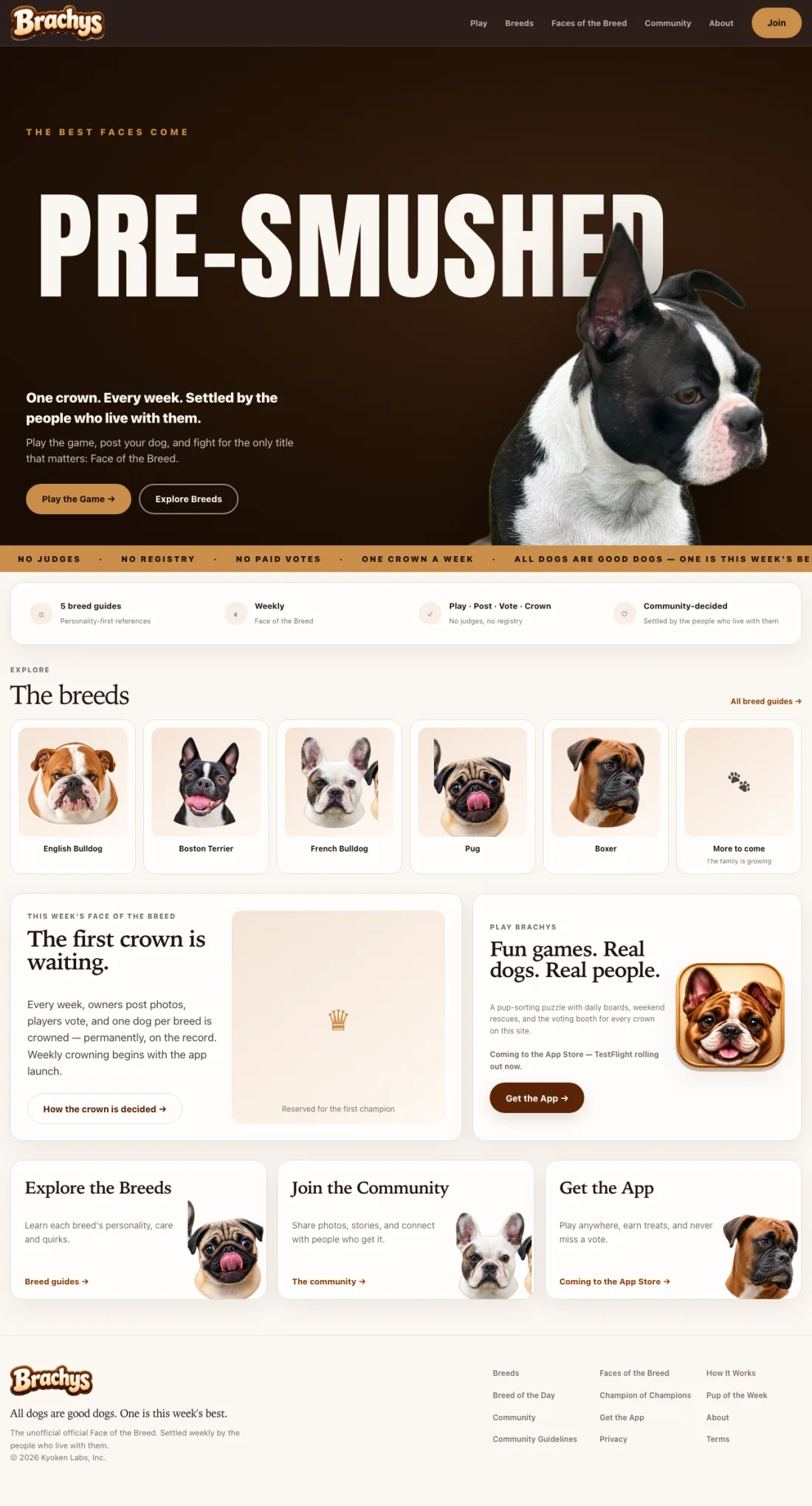A full-page capture of brachys.com